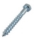 SS STEEL LAG SCREWS