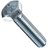 SS METRIC HEX CAP SCREWS