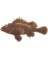 MAGNET ROCK FISH