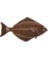 MAGNET HALIBUT