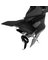STINGRAY JUNIOR HYDROFOIL BK