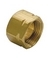 TUBE NUT BR (6/PK)
