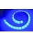 ROPE LIGHT BLUE 72"
