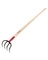 RAZOR BACK SHRIMP RAKE