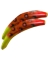 SPIN-N-FISH 2.5 TIGER BLOOD 2/PK
