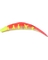 SPIN-N-FISH GLT COWGR 2.5" (CO)