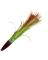 ZUKER 6" TUNA LURE ORANGE/YELLOW GRASS -LIME SKIRT -RED HEAD (10/BG)