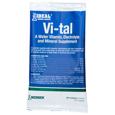 Vi-Tal - 6 OZ