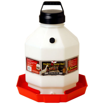 Plastice Poultry Waterer - 5 GAL