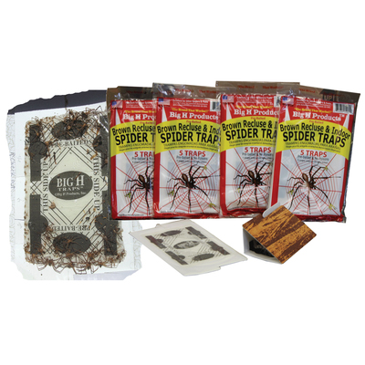 Brown Recluse Spider Trap - 5 PK