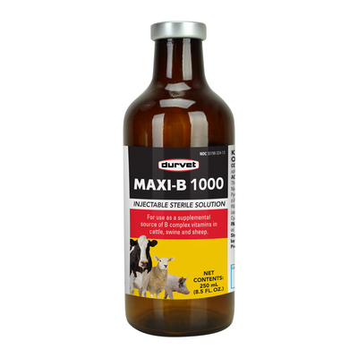 Vitamin B Maxi B 1000 - 100 ML