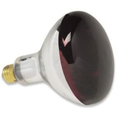 Red Heat Lamp Bulb