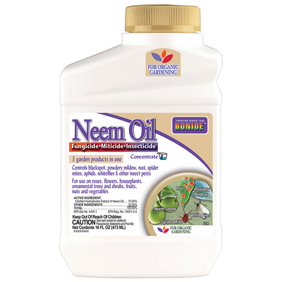 Neem Concentrate - 16 OZ