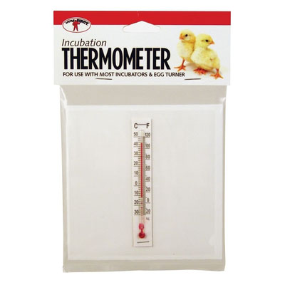 Incubator Thermometer