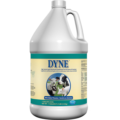 Dyne High Calorie Supplement - GAL