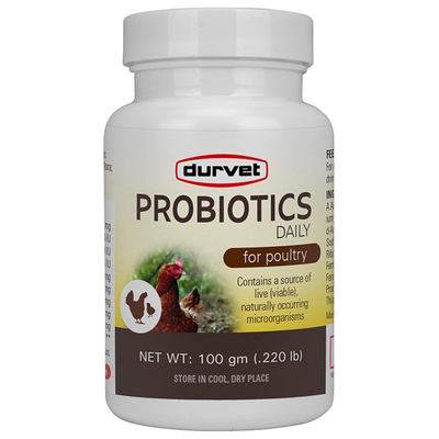 Durvet Poultry Daily Probiotics - 100 GR