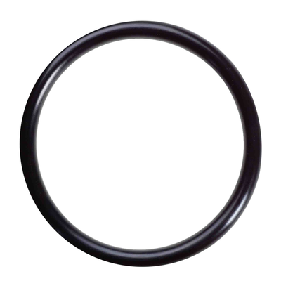 Plastic Fount O-Ring