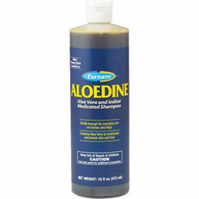 Aloedine Shampoo - 16 OZ