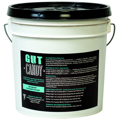 Precision Feed Gut Candy - 10 LB