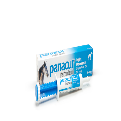 Panacur Horse Dewormer - 25 GM