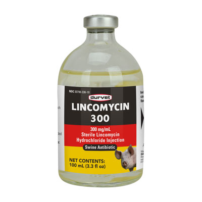Lincomycin 300 Injectable - 100 ML
