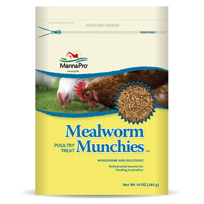 Mealworm Munchies Poultry Treat - 10 OZ