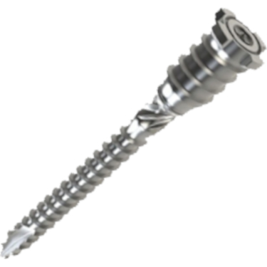 TOPSTAR SCREW 2-1/2" 18PC PKG