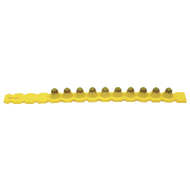 27 CALIBER YELLOW STRIP - 100