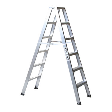 ALUM. LADDER STEPS 2 SIDED 10'
