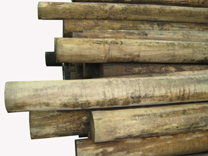 Departments ESPEQUE MAD FINO 2 2 1/2 X 6