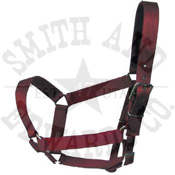 1 3/4" Draft Halter Valhoma