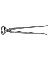 Ge 12" Hoof Nipper