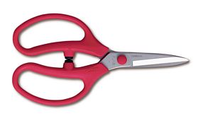 Tool, ARS FL18 Floral Scissors