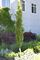 BIRCH PARKLAND PILLA TR 1 3/4 BB