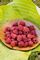 Raspberry, Heritage #1 Container