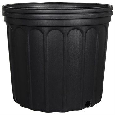 3g Blk Pot Plastic Nursery