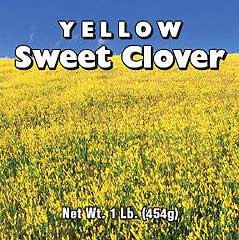 Clover Yellow Sweet 1#