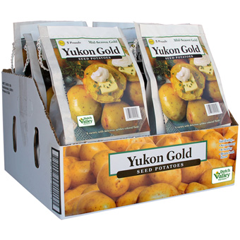 YUKON GOLD 5# bag POTATO