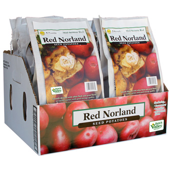 RED NORLAND 5# bag POTATO