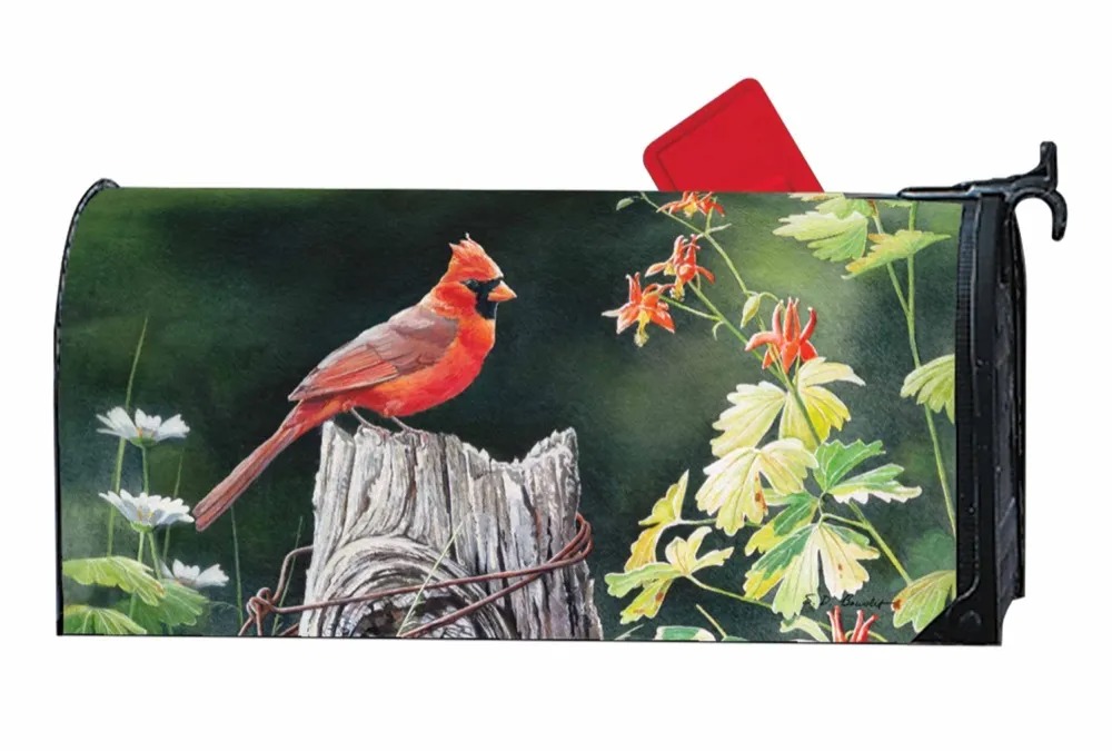 Mailwrap Cardinal Song