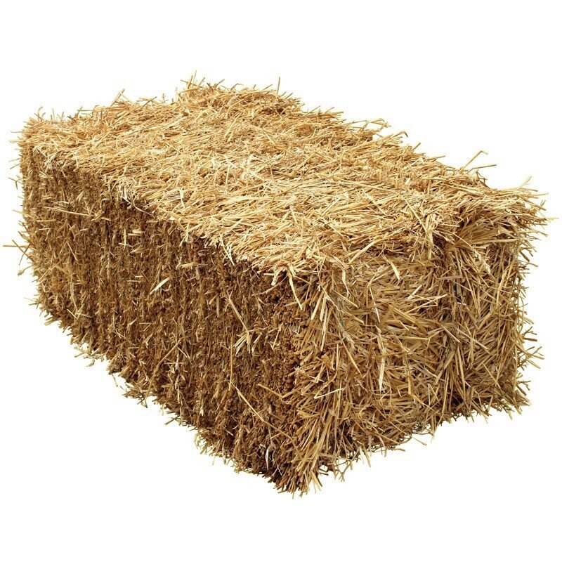Straw Bale Barley