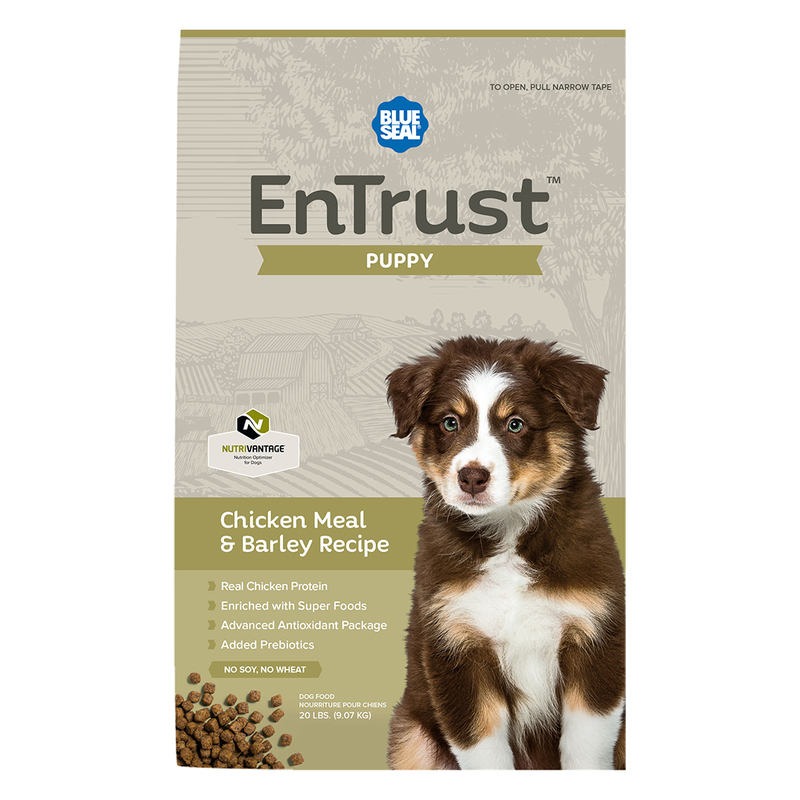 40Lb Entrust Puppy