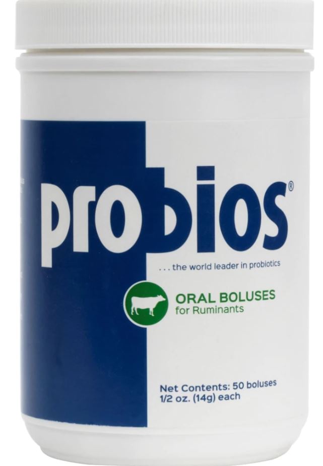 Probios Feed 50 Boluses