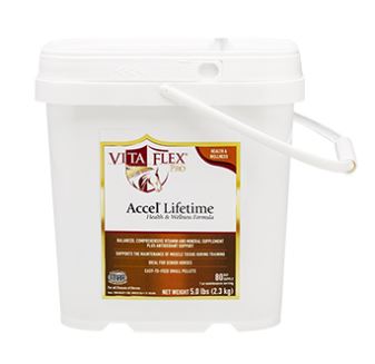 5# Accel Lifetime Vitaflex