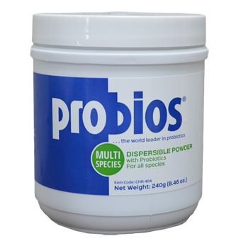 Probios Powder 240gm