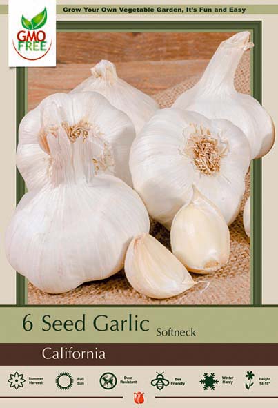 Garlic 6P California Softneck