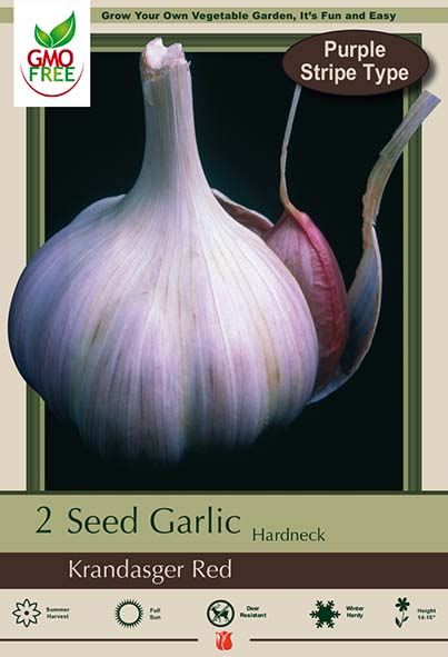 Garlic 2pk Krandasger Red Md