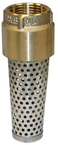 1" BRS Foot Valve