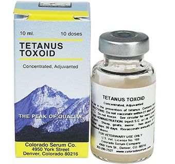 Tetanus Toxoid 10mL 10 Dose