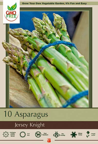 Asparagus 10P Jersey Knight 1yr